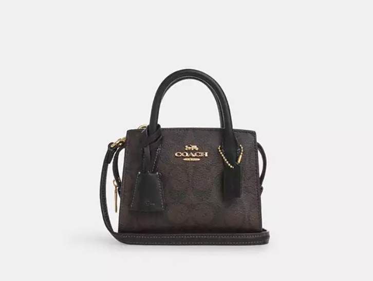 Bolsa COACH Andrea Mini Carryall