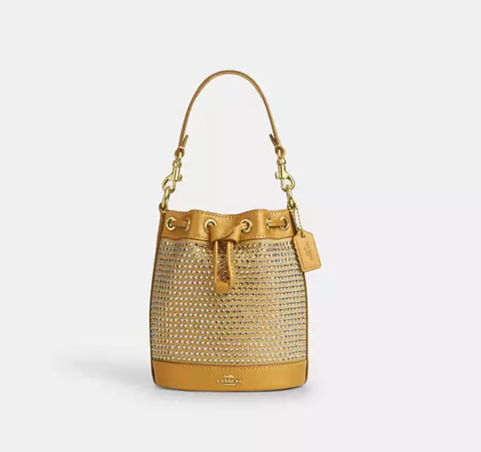 Mini bolsa balde COACH